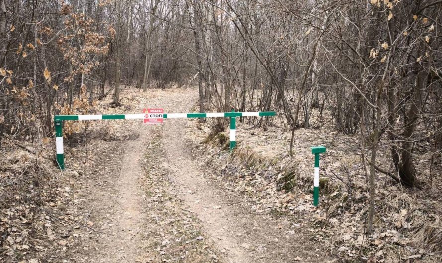 У відповідності до “Інструкції про порядок проведення лісових обходів” працівниками відділу лісового господарства КП “Франківськ АГРО” Івано-Франківської міської ради розпочато планову весняну ревізію майстерських дільниць.